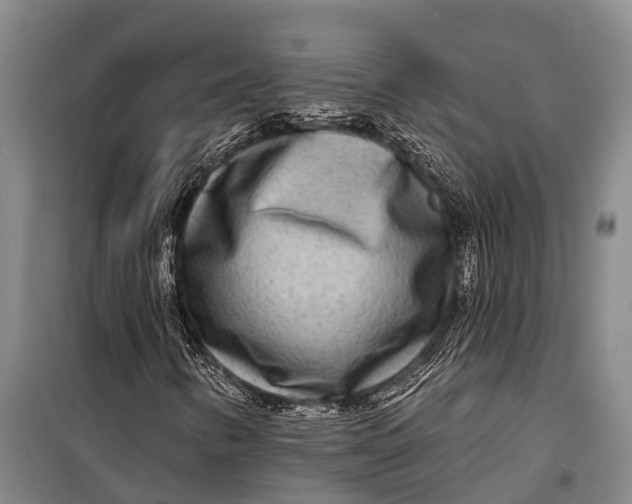 X0000098201346200805151219