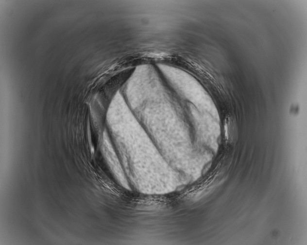 X0000098201347200805151219