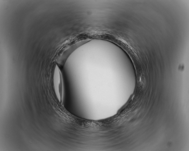 X0000098201348200805151219
