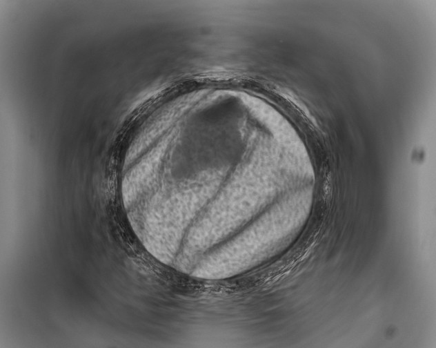 X0000098201350200805151219