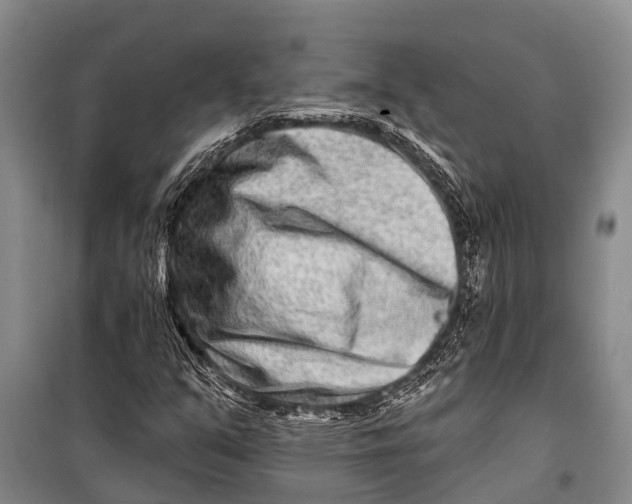 X0000098201351200805151219
