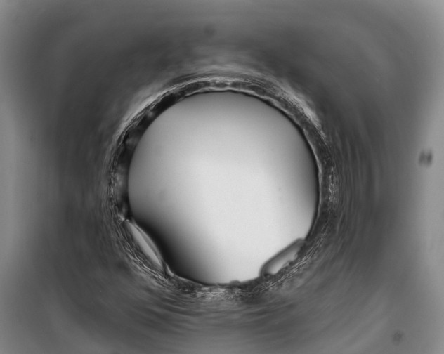 X0000098201352200805151219