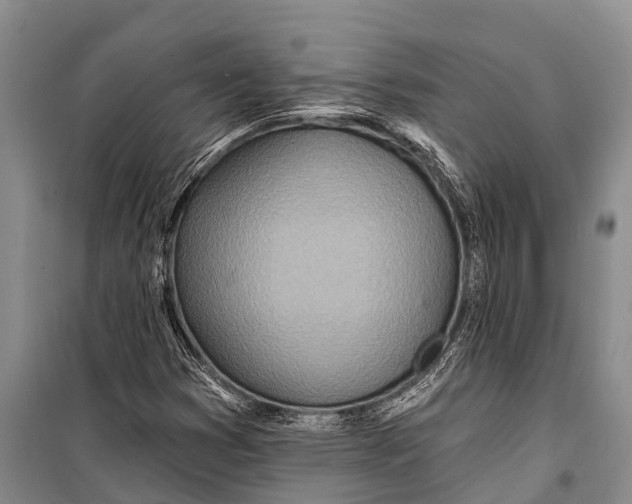 X0000098201353200805151219
