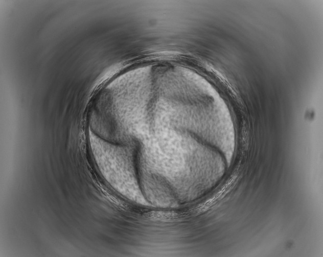 X0000098201354200805151219