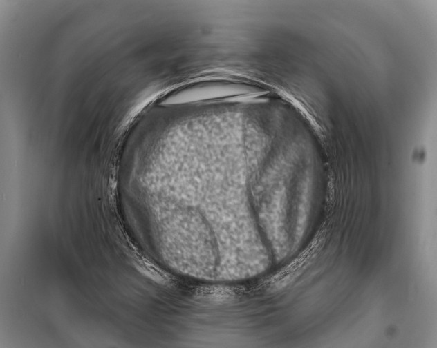 X0000098201355200805151219