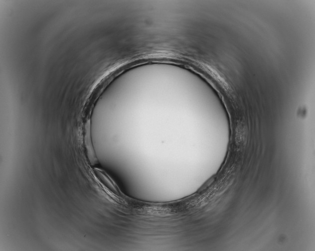 X0000098201356200805151219