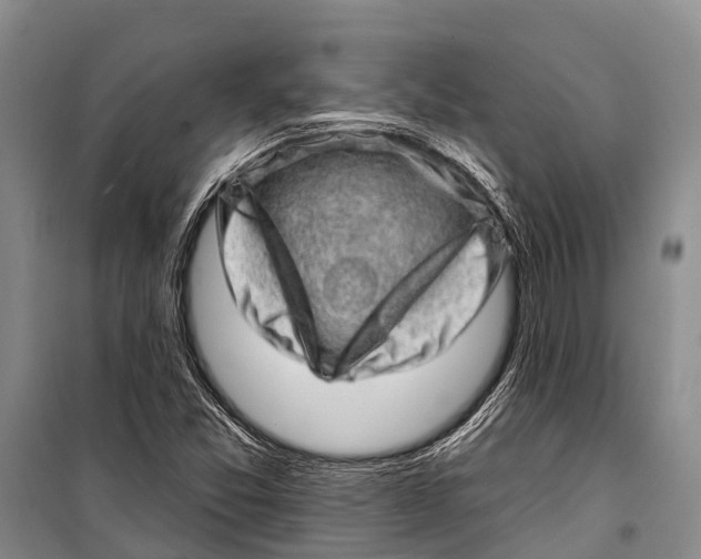 X0000098201357200805151219