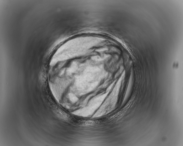 X0000098201359200805151218