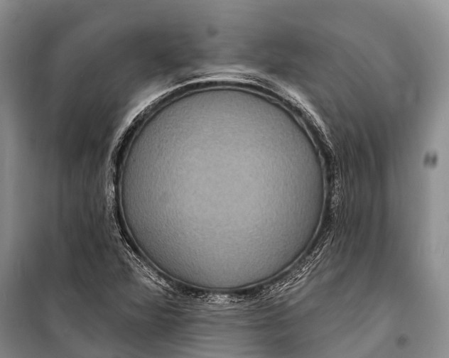 X0000098201360200805151218