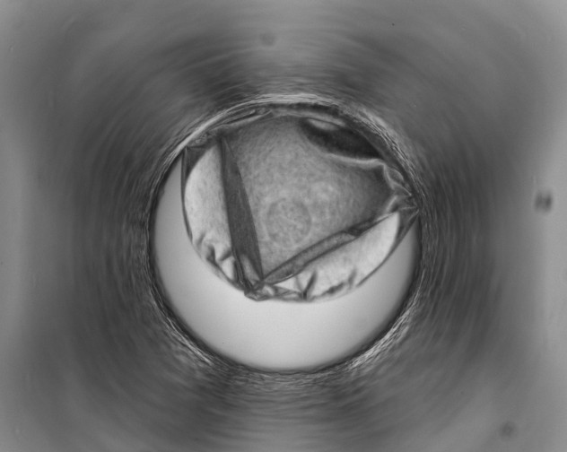 X0000098201361200805151218