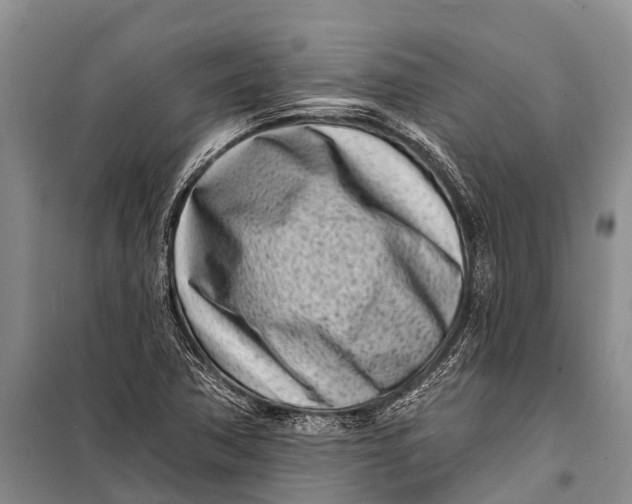 X0000098201362200805151218