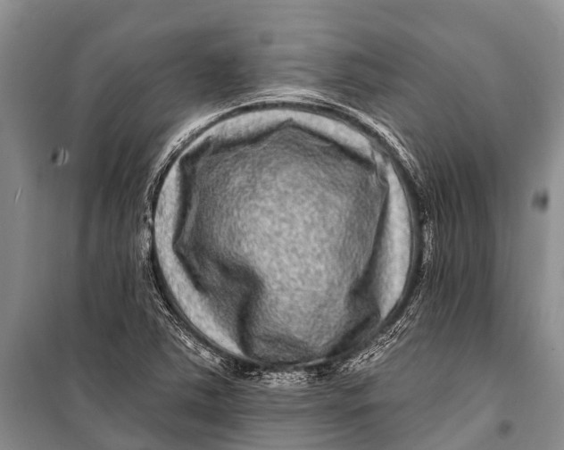 X0000098201363200805151218