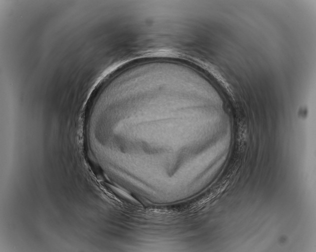 X0000098201364200805151218