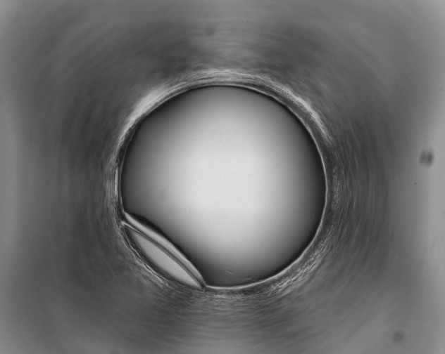 X0000098201365200805151218