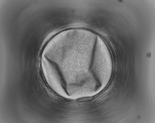 X0000098201366200805151218