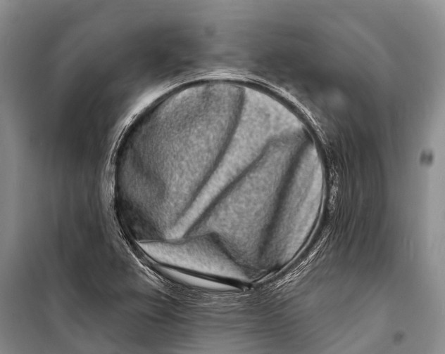 X0000098201367200805151218