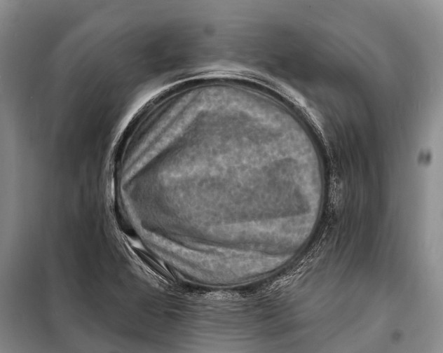 X0000098201368200805151218