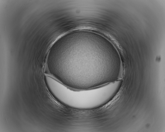 X0000098201369200805151218