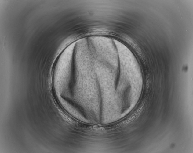 X0000098201370200805151218