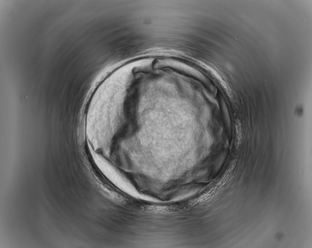 X0000098201371200805151218