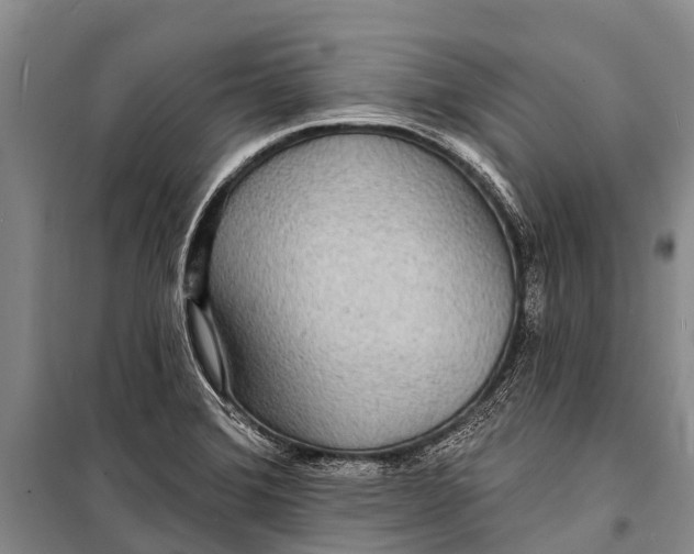 X0000098201372200805151218