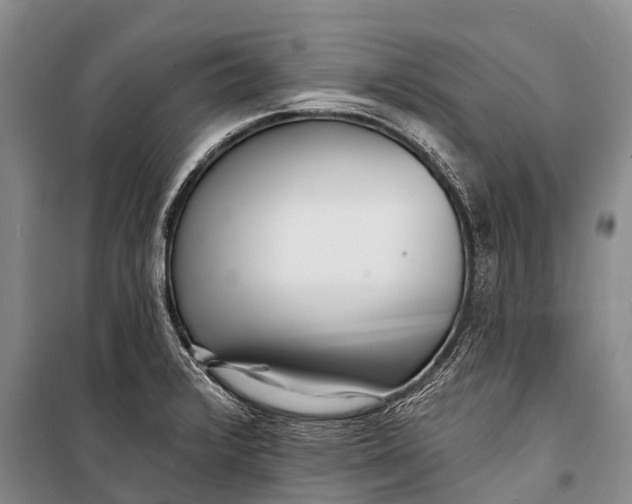 X0000098201376200805151218