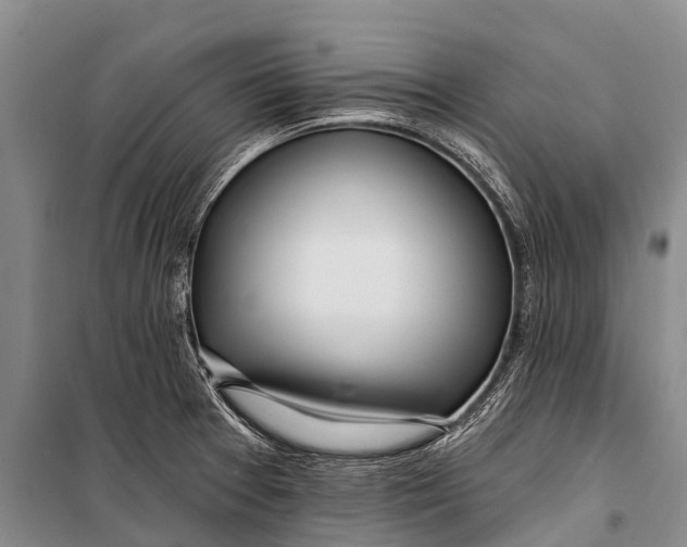 X0000098201377200805151218