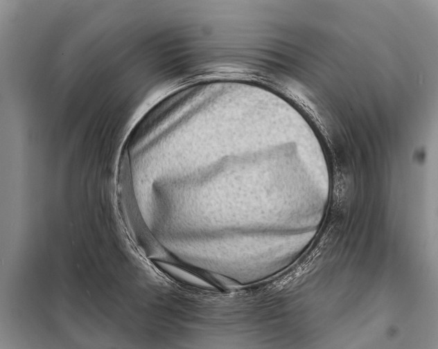 X0000098201378200805151218