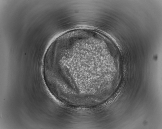 X0000098201379200805151218