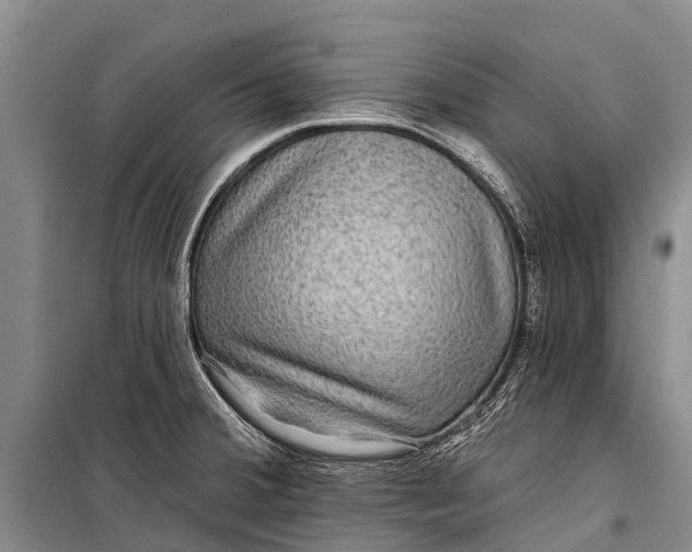 X0000098201380200805151218