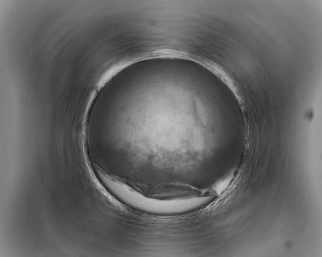 X0000098201381200805151218