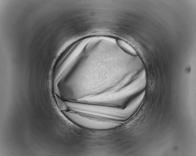 X0000098201382200805151218