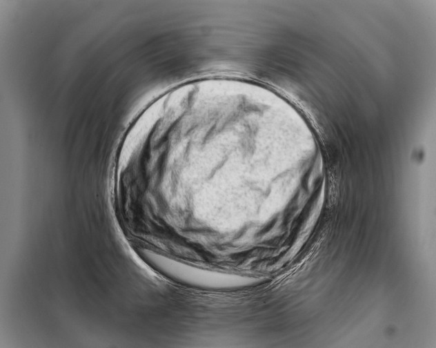 X0000098201383200805151218