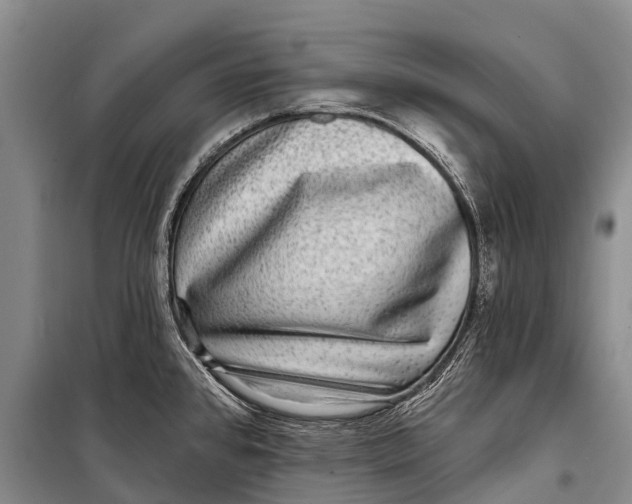 X0000098201384200805151218