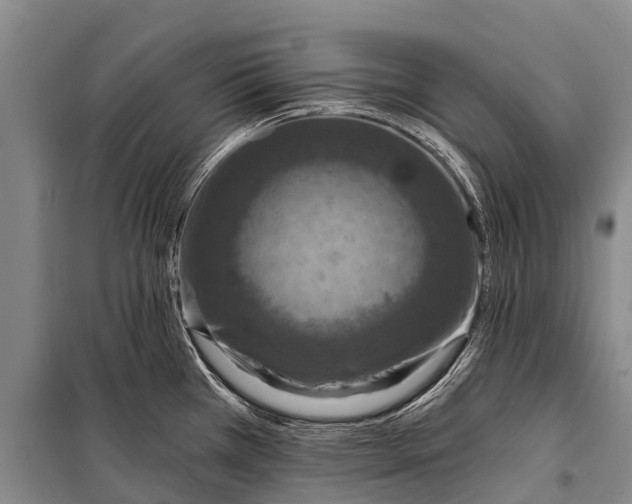 X0000098201385200805151218