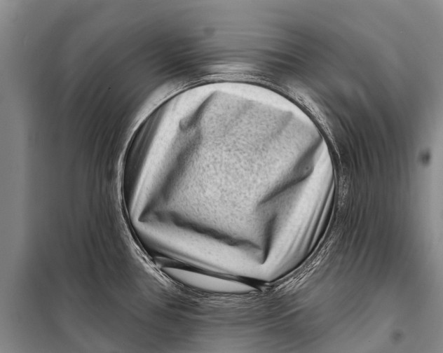 X0000098201386200805151218