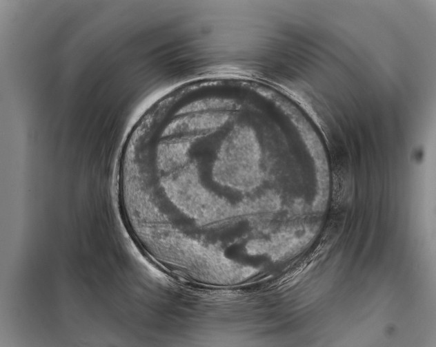 X0000098201387200805151218