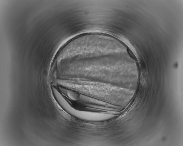 X0000098201388200805151218