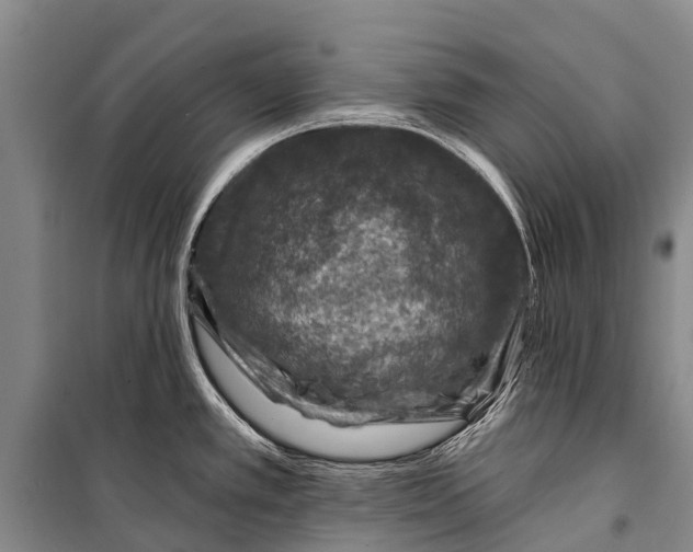 X0000098201389200805151218