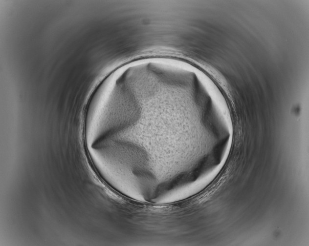 X0000098201390200805151218