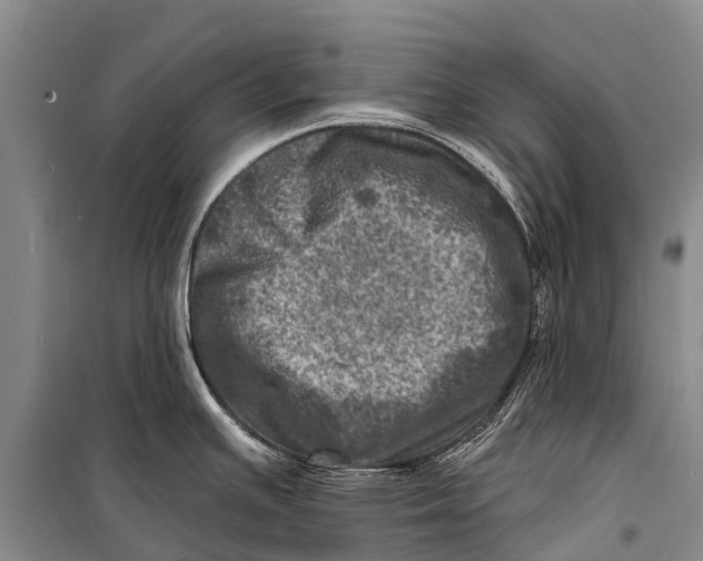 X0000098201391200805151218