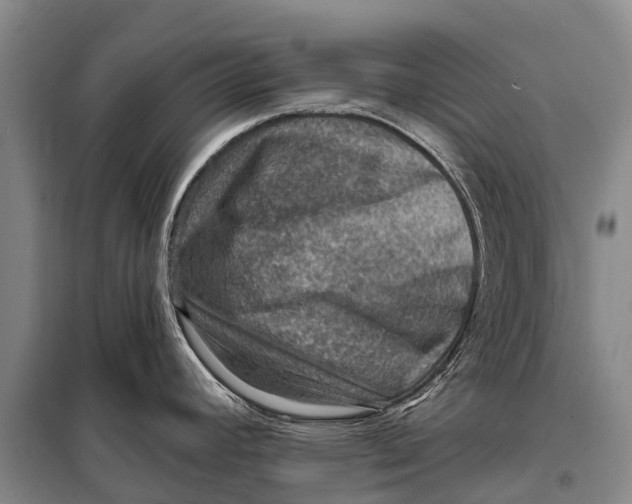 X0000098201392200805151218