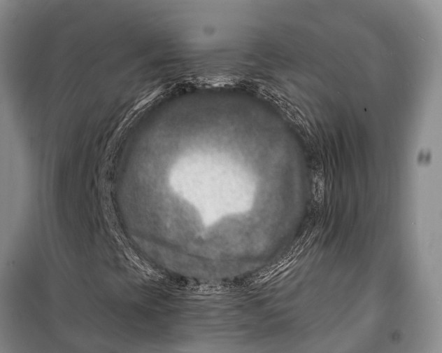 X0000098201393200805151217