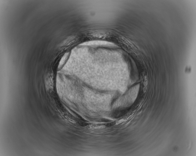 X0000098201394200805151217