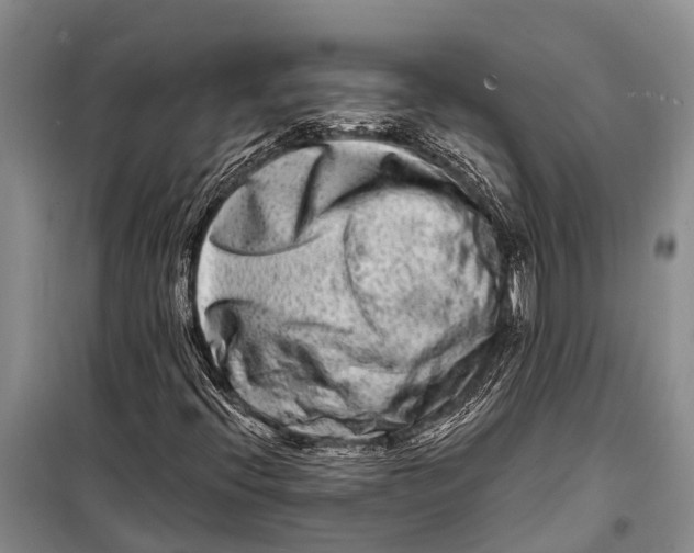 X0000098201396200805151217