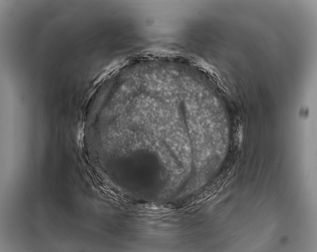 X0000098201397200805151217