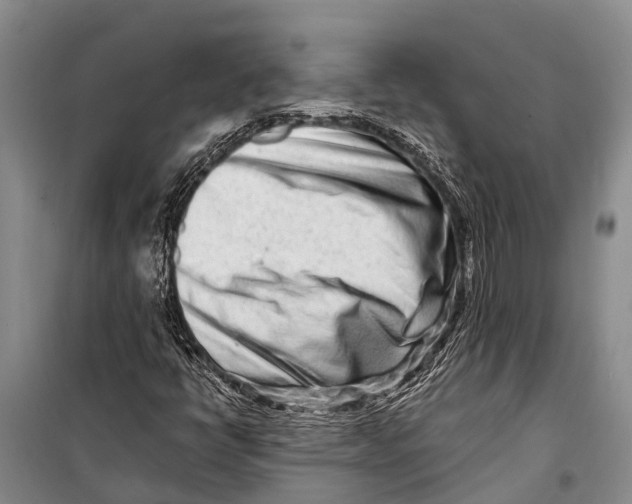 X0000098201398200805151217