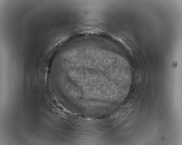 X0000098201399200805151217
