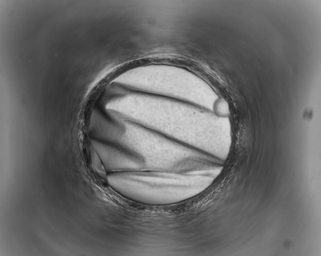 X0000098201400200805151217