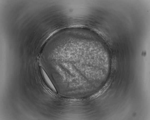 X0000098201401200805151217